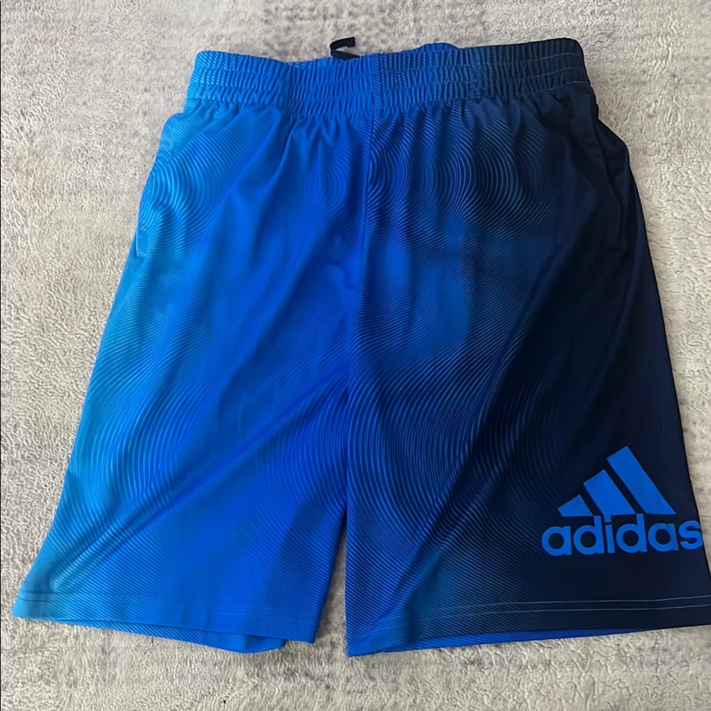 Adidas Blue Athletic Shorts with Elastic Waistband